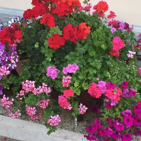 Casa Piera Σπίτι διακοπών